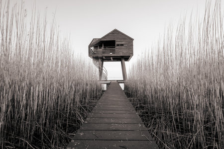 Beautiful landscape in the north of the Netherlands. Drieborg, Groningen.の写真素材