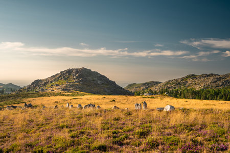 Sunset at the mountains in Albergaria da Serra, Portugal.の写真素材