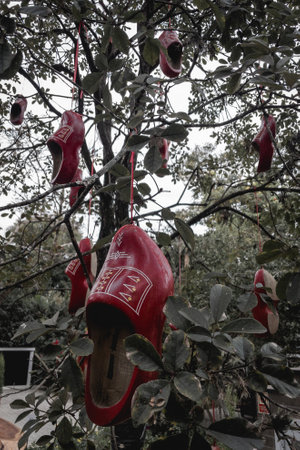 Clogs, typical Dutch wooden shoes, hanging in a tree as decoration. In Holambra, Sao Paulo, Brazil.の写真素材