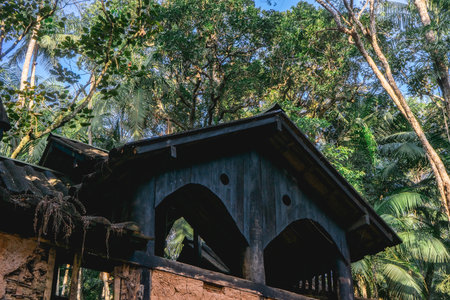 Old abandoned wooden house, in the Jardim Botanic Garden in SÃ£o Paulo, Brazil.