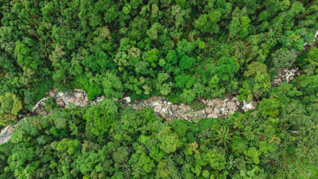 Arial Photo from a waterfall in the mountains of the countryside of Paraty, Brazil.