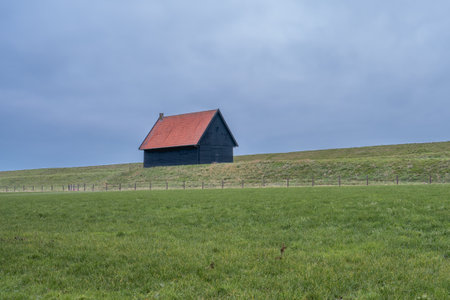 Old barn at the coast of Wieringerwerf, The Netherlands.の写真素材