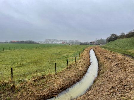 The countryside in Zeeland, The Netherlands.の写真素材