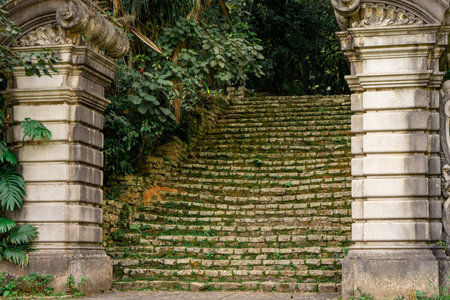 Jardim Botanic Garden, in Sao Paulo, Brazil.の写真素材