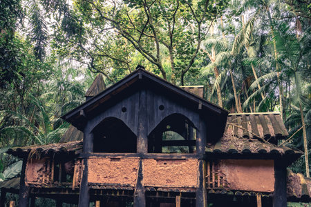 Old abandoned wooden house, in the Jardim Botanic Garden in Sao Paulo, Brazil..の写真素材