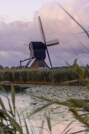 The windmills of KInderdijk, early morning. Netherlands.の写真素材