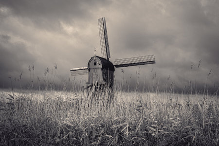 The windmills of KInderdijk, early morning. Netherlands.の写真素材