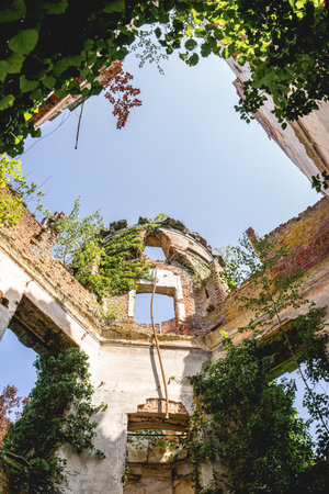 Ruins of an old castle, somewhere in Belgium.