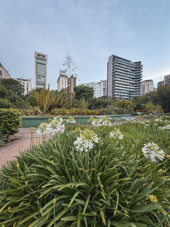 Close up flowers at Parque do Povo in Sao Paulo, Brazil.のeditorial素材