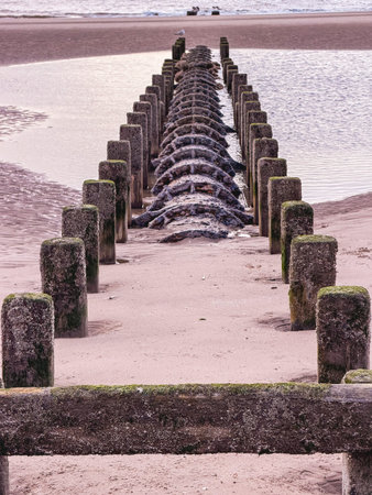 Evening at the beach of blackpool in England.の写真素材