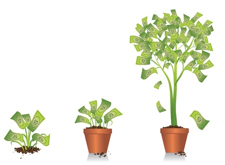 Money Tree Growingのイラスト素材