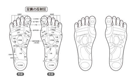 It is a monochrome illustration of the sole reflection zone. It is an easy-to-use vector material.のイラスト素材