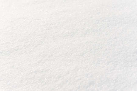 Newly fallen snowの写真素材