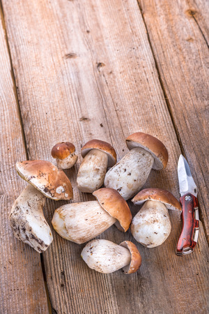 Porcini Mushroom lying on a Wooden Tableの写真素材