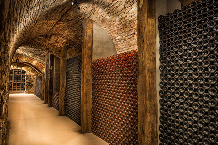 Wine cellar, a row of champagne bottlesの写真素材