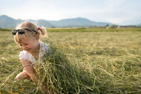 Beautiful Young Girl On Summer Meadowの写真素材