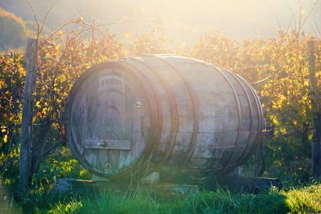 Wine barrel on background of vineyard