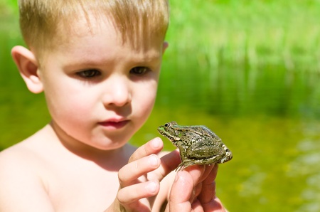  Acquaintance a little boy with a frogの写真素材
