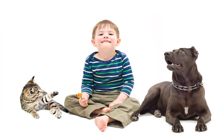 Boy, dog and kitten sitting together isolated on white backgroundの写真素材