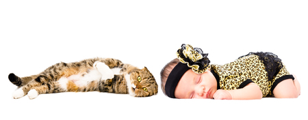 Portrait of cute sleeping newborn girl and cat Scottish Fold, isolated on white backgroundの写真素材