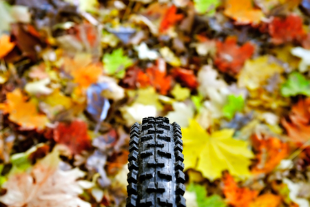 Bicycle wheel on the  of colorful fallen leaves