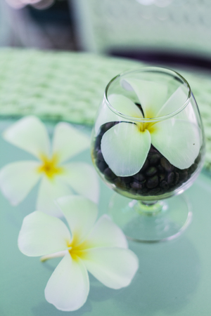 Coffee beans in a glass with flowerの写真素材