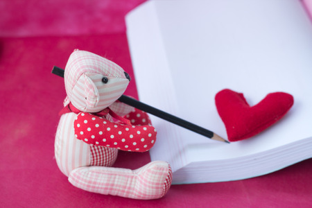 bear write the book on pink backgroundの写真素材