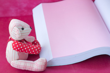 bear reading the book on pink backgroundの写真素材