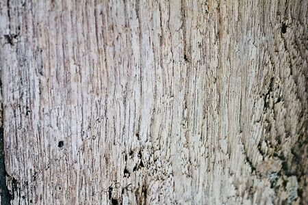 Close up old brown wood texture background