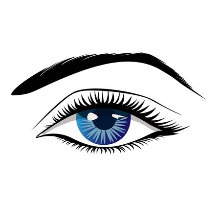 Beautiful blue female eye with thick black eyelashes, simple vector illustration for decoration.の写真素材