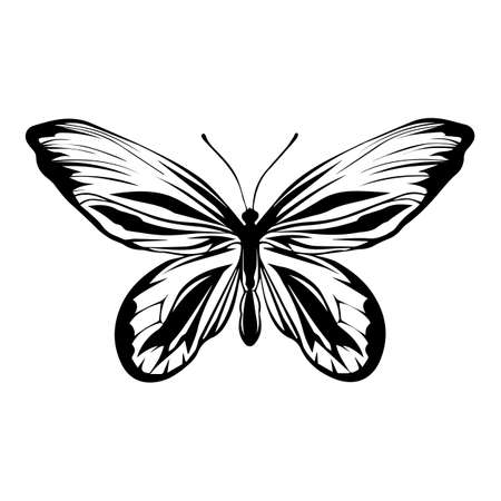 Silhouette, circuit of a tropical butterfly, isolated on white background.のイラスト素材