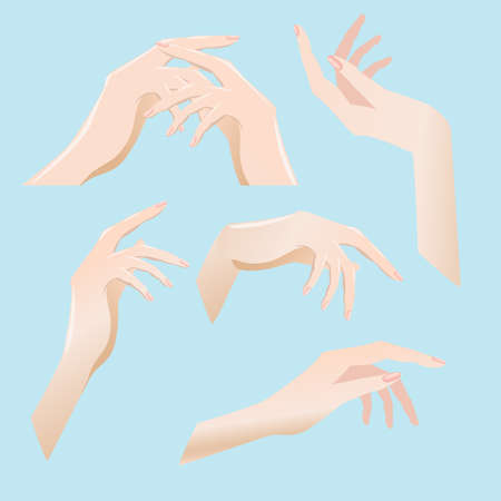 Set of female hands in different angles. Color vecton image on a light blue background.のイラスト素材