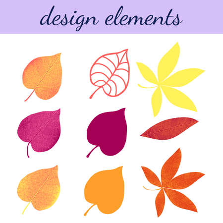 Elements for design from autumn leaves isolated on white background.のイラスト素材