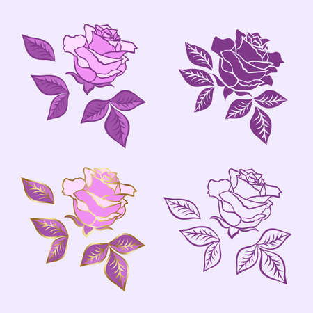 Rose flower set. Vector options for the image of color, and contour. Design elements isolated from the background.のイラスト素材