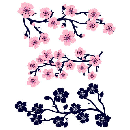 Rose flower set. Vector options for the image of color, and contour. Design elements isolated from the background.のイラスト素材