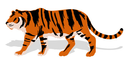 Silhouette of a walking tiger. Color picture, side view on a white background.のイラスト素材