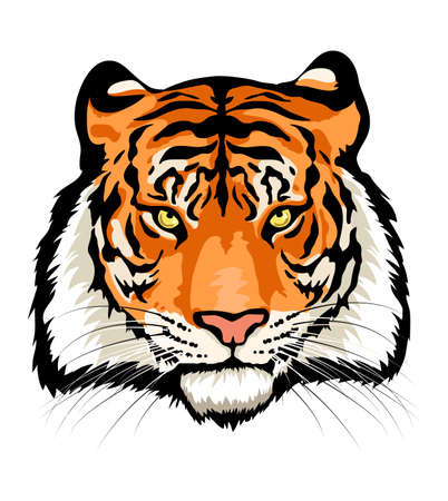 Tiger head isolated on white background. Vector image.のイラスト素材