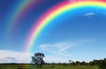 Tree under blue sky with rainbowの写真素材