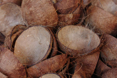 Coconut shellの写真素材