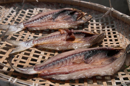 Stock Photo - dry fishの写真素材