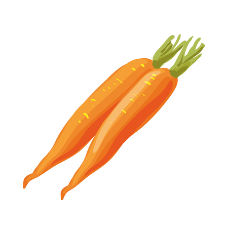 Carrot vegetable isolated on white background. Vector Illustration.のイラスト素材