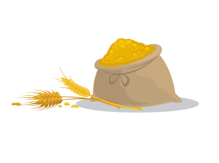 Vector set foods of wheat. Italian cuisine pasta and macaroni, fusilli, spaghetti and penne, farfalle and tagliatelle. Cartoon illustration isolated on white background.のイラスト素材