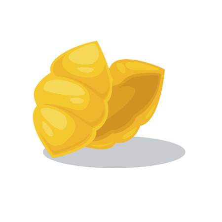 Vector food of wheat. Italian cuisine pasta or macaroni, fusilli, spaghetti penne, farfalle and tagliatelle. Cartoon illustration isolated on white background.のイラスト素材