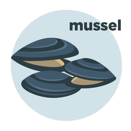 illustration mussel. Seafood icon.のイラスト素材
