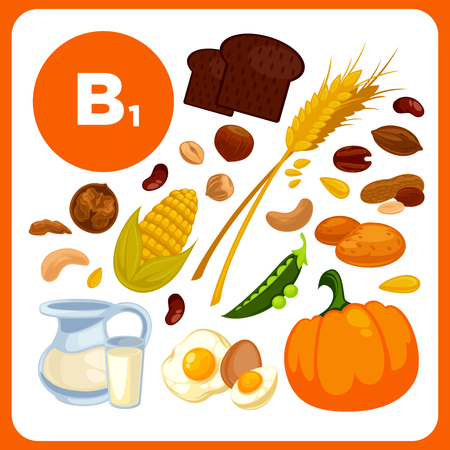 Collection food with vitamin B1.のイラスト素材