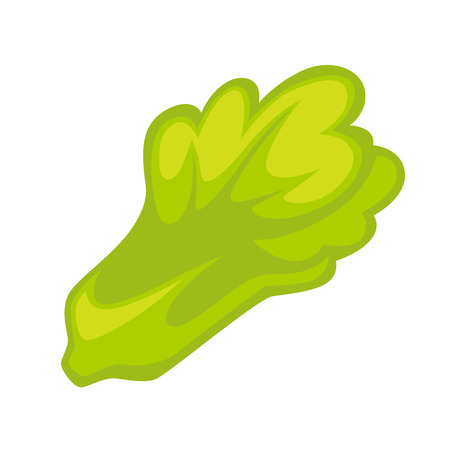 Leaf Vegetables Salad Isolated on White. Potherbsのイラスト素材