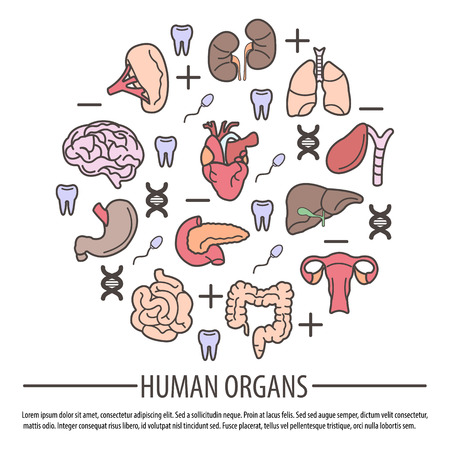 Human Organs with DNA Parts, Rh factor and Teethのイラスト素材
