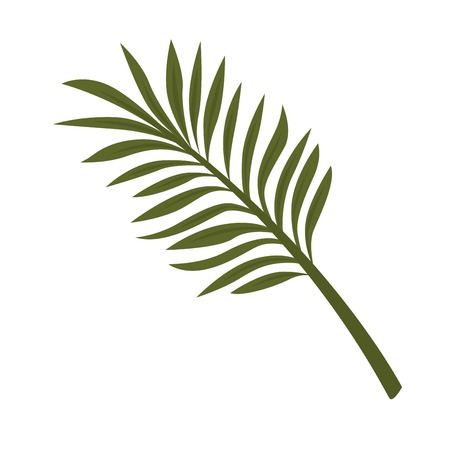 Fern leaf isolated on white background. Tropical plantのイラスト素材