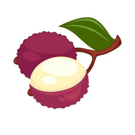 Lychee or lichee exotic tropical fruit flat isolated iconのイラスト素材