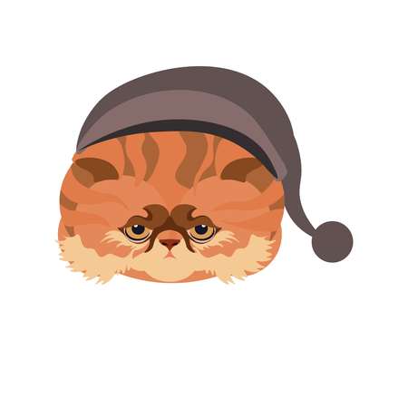 Persian cat in hat with ball isolated on whiteのイラスト素材